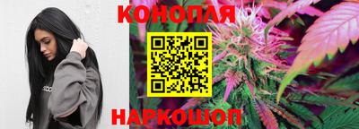 прущие грибы Кунгур